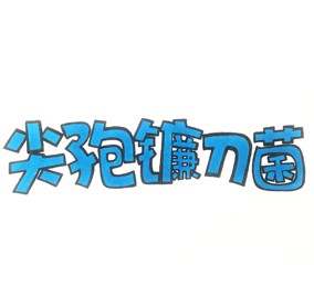 食品有意思：簡(jiǎn)說尖孢鐮刀菌 