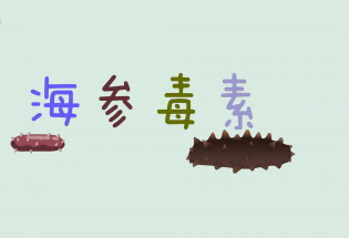 食品有意思：吃海參也會中毒？
