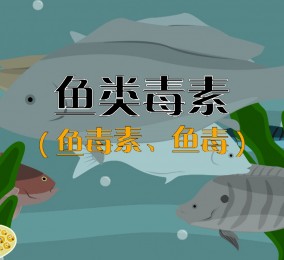 食品有意思：吃魚也中毒？ 