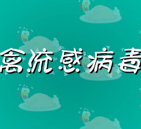 食品有意思：如何預(yù)防禽流感病毒感染？ 