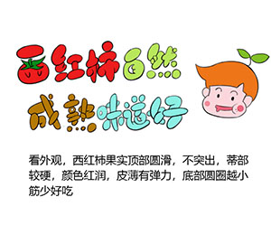 如何選購西紅柿？