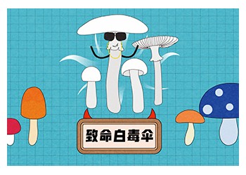 食品有意思：致命白毒傘是什么？