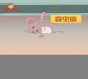 科普視頻:可怕的豬囊尾蚴??！